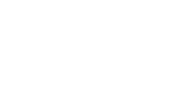 На Запоріжжі народився часник, що підкорив фермерів в Україні та за кордоном – ЭКОНОМИКА