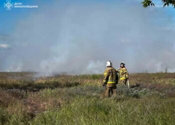 29 травня на Миколаївщині вогнеборці ліквідували чотири пожежі » Миколаївський Оглядач