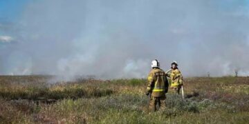 29 травня на Миколаївщині вогнеборці ліквідували чотири пожежі » Миколаївський Оглядач