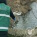 «Бердичівкомунсервіс» мусить відшкодувати понад 340 тис грн збитків за забруднення Гнилоп’яті: рішення апеляційного суду | Журнал Житомира