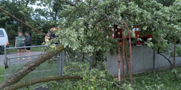 Частково або повністю: на Прикарпатті внаслідок негоди 21 населений пункт залишився без світла