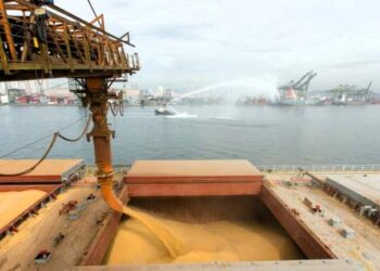 Депутата Миколаївської міськради судили за шахрайство з зерном на 800 тисяч доларів :: Інтент :: Суспільно-політичне видання:: Регіональна мережа якісної журналістики