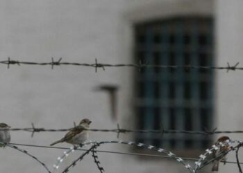 Ексміліціонер з Криму змінив присягу на рублі та отримав 14 років колонії :: Інтент :: Суспільно-політичне видання:: Регіональна мережа якісної журналістики