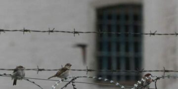 Ексміліціонер з Криму змінив присягу на рублі та отримав 14 років колонії :: Інтент :: Суспільно-політичне видання:: Регіональна мережа якісної журналістики