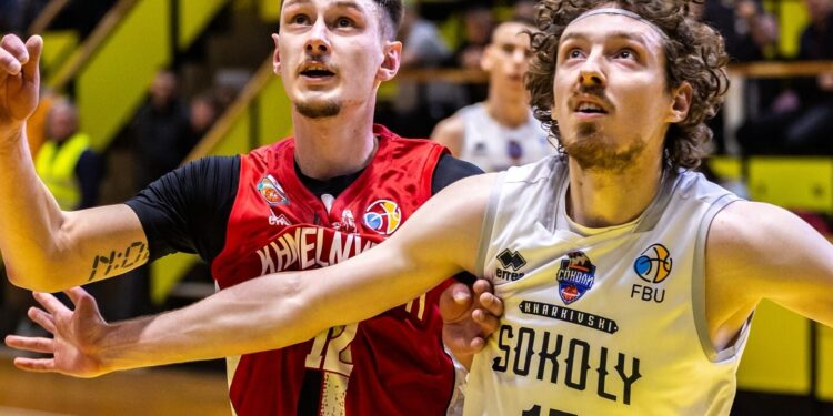 Харківські Соколи оголосили про підписання ще одного гравця – Федерація баскетболу України