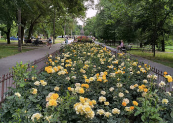 Яка погода буде у Запоріжжі – прогноз на 23, 24 та 25 червня | Новости Запорожья