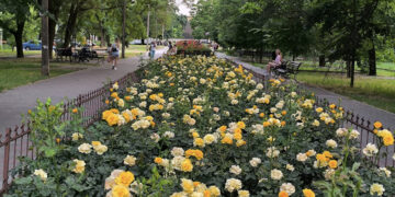 Яка погода буде у Запоріжжі – прогноз на 23, 24 та 25 червня | Новости Запорожья