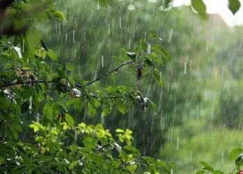 Яка погода на Черкащині буде до кінця червня