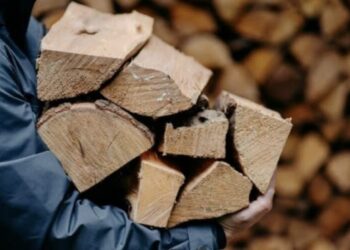 Кілька мешканців Канівської громади отримають кошти на закупівлю дров до зими