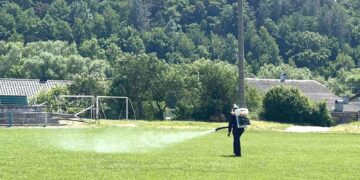 Кліщі інфікували хворобою Лайма 26 жителів Полтавщини