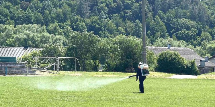Кліщі інфікували хворобою Лайма 26 жителів Полтавщини