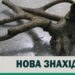 На березі Дніпра в Запоріжжі виявили роги благородного оленя – цікаві факти про знахідку від співробітників заповідника Хортиця | Новости Запорожья