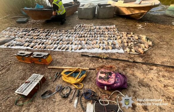 На Черкащині викрили браконьєрів з електровудками, які наловили риби на півмільйона