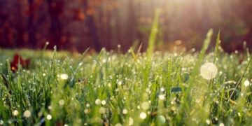 На Черкащині знову прогнозують зливи й грози