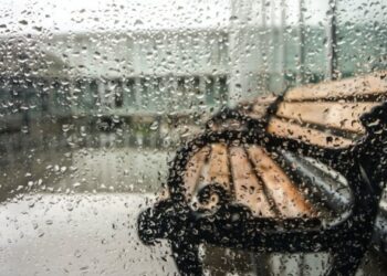 На Черкащину прийшло різке похолодання: синоптики прогнозують, що це ще не межа