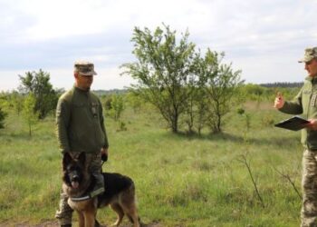 На Львівщині обрали кращого кінолога та собаку-прикордонника – RegioNews.ua