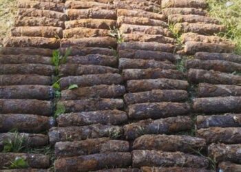 На подвір’ї львів’янина знайшли понад сотню вибухонебезпечних предметів