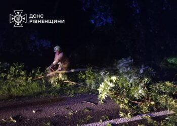 На Рівненщині негода повалила дерева на дороги