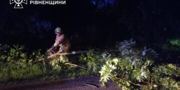На Рівненщині негода повалила дерева на дороги