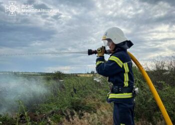 Пожежі в Миколаївській області: суха трава, сміттєвий контейнер і підгоріла їжа в квартирі » Миколаївський Оглядач
