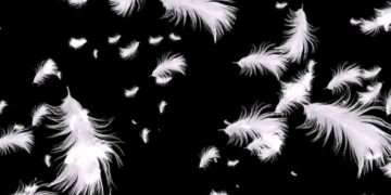 Притча про подушку та пір’я