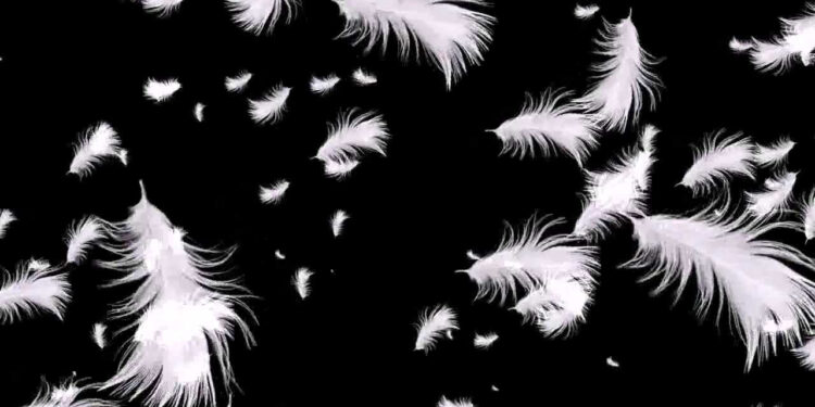 Притча про подушку та пір’я