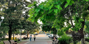 Прогноз погоди у Запоріжжі на 7–8 червня – спека і пожежна небезпека | Новости Запорожья