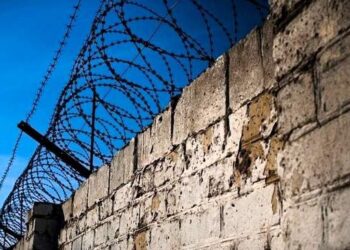 Шпигун повідомив ворогу про українське ППО на птахофабриці Миколаївщини та сів на 10 років :: Інтент :: Суспільно-політичне видання:: Регіональна мережа якісної журналістики