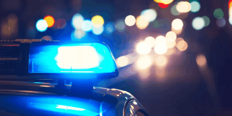 Штрафи за ігнорування машин зі спецсигналами зростуть |  |