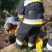 У Шепетівському районі надзвичайники рятували корову —Хмельнитчина