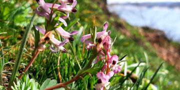 У Запоріжжі 8 червня зафіксували новий тепловий рекорд – подробиці від синоптиків | Новости Запорожья