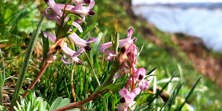 У Запоріжжі 8 червня зафіксували новий тепловий рекорд – подробиці від синоптиків | Новости Запорожья