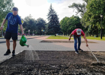 У Запоріжжі дві ділянки в центрі міста засіяли різнотрав’ям, фото – цікаві подробиці від активістів | Новости Запорожья