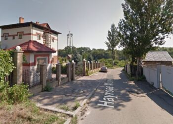 У Запоріжжі на Хортиці голуб застряг на високому дубі – птаха врятували надзвичайники | Новости Запорожья