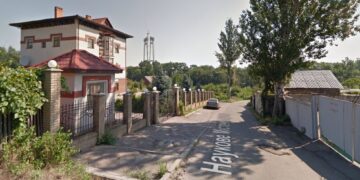 У Запоріжжі на Хортиці голуб застряг на високому дубі – птаха врятували надзвичайники | Новости Запорожья