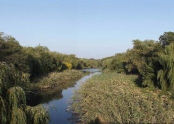 У Запоріжжі провели дослідження на наявність забруднення річок – що виявили науковці  | Новости Запорожья
