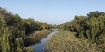 У Запоріжжі провели дослідження на наявність забруднення річок – що виявили науковці  | Новости Запорожья