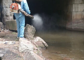 У Запоріжжі проводять дезінсекцію водойм, де є личинки комарів – подробиці  | Новости Запорожья