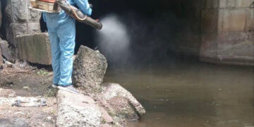 У Запоріжжі проводять дезінсекцію водойм, де є личинки комарів – подробиці  | Новости Запорожья