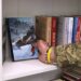 У Запоріжжі в лікарні відкрили четверту «Книжкову поличку для військових» – 80 сучасними виданнями для пацієнтів-захисників | Новости Запорожья