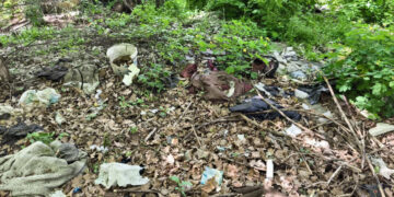 У зеленій зоні Запоріжжя виявили велике стихійне звалище – екоінспектори дали місяць на усунення екологічного порушення | Новости Запорожья