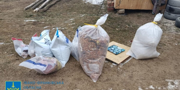 Від забороненого видобутку до сувенірних ринків: як на Прикарпатті працював нелегальний бурштиновий бізнес