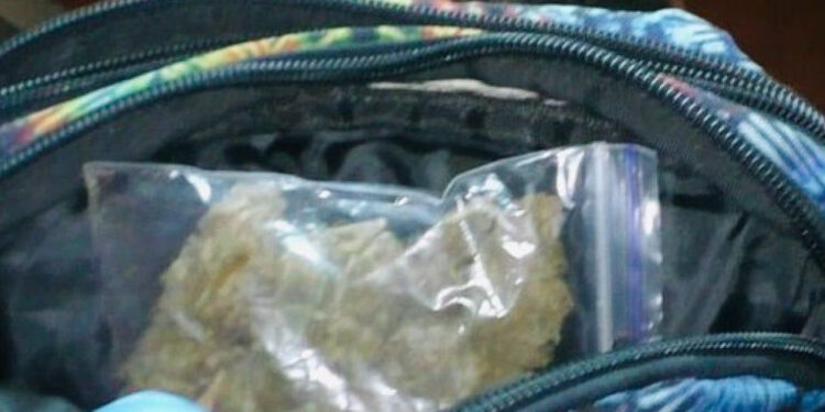 Заробляли на збуті «канабісу»: на Прикарпатті затримали наркоторговців (ФОТО)