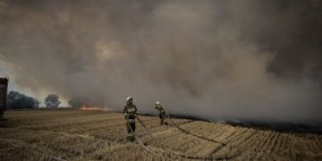 15 липня та в ніч проти 16 на Миколаївщині ліквідовано 46 пожеж » Миколаївський Оглядач