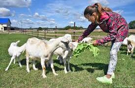На Черкащині кооперативам і сімейним фермам виділили 2 млн грн – ЭКОНОМИКА