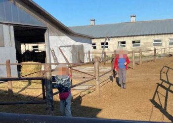 Чотирьох жителів Дніпропетровщини затримали за вивезення людей в рабство на Одещину :: Інтент :: Суспільно-політичне видання:: Регіональна мережа якісної журналістики