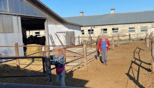 Чотирьох жителів Дніпропетровщини затримали за вивезення людей в рабство на Одещину :: Інтент :: Суспільно-політичне видання:: Регіональна мережа якісної журналістики