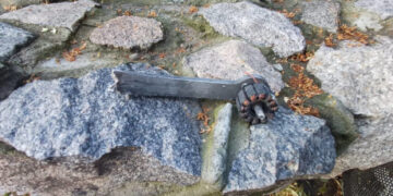 3 липня: що сталось важливого у Сумах і на Сумщині у четвер – Область – Сумские новости