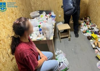 Контрабанда з Єгипту: мешканка Черкащини намагалась ввезти заборонені ліки