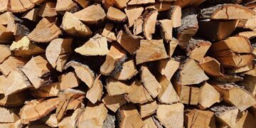 Мешканку Шепетівщини ошукав псевдопродавець дров —Хмельнитчина